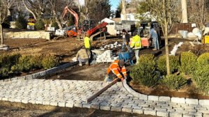 Boarders and Aprons Nardi